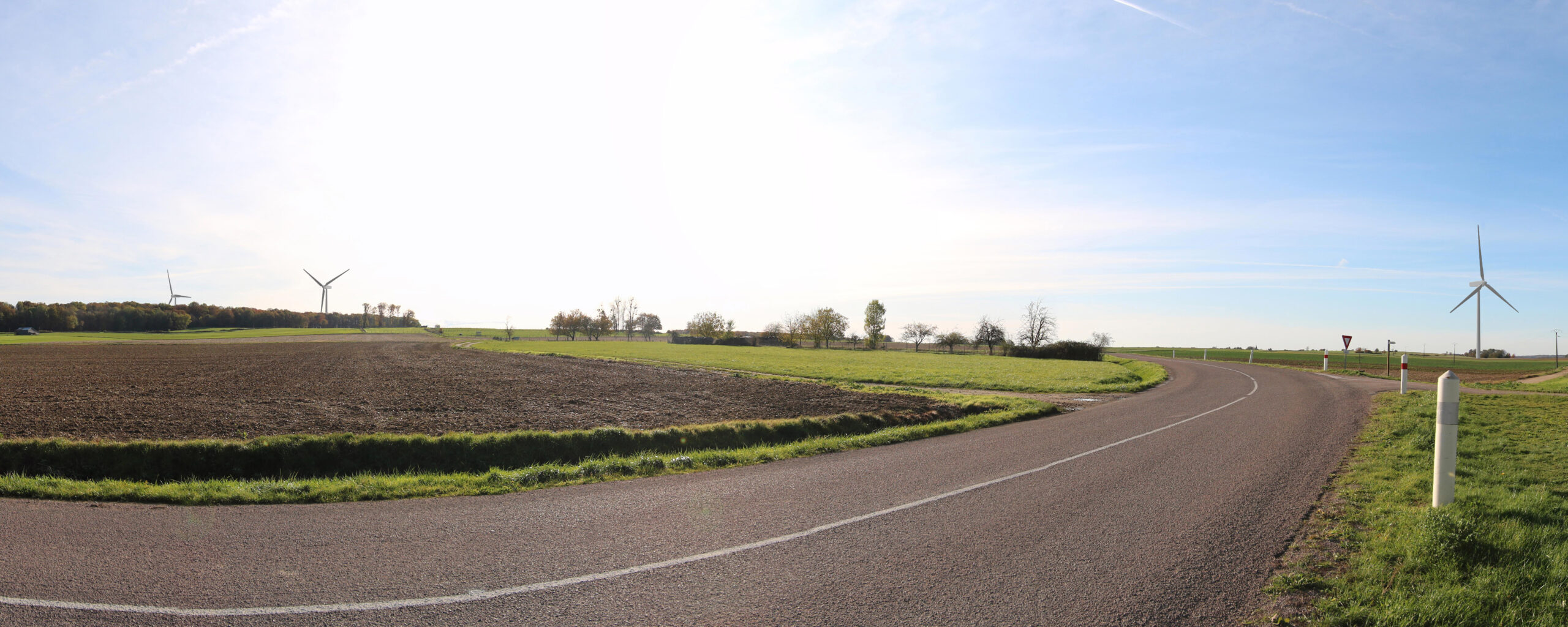 Au croisement des RD60 et RD229, à l’ouest de Villiers-aux-Chênes, visibilité sud