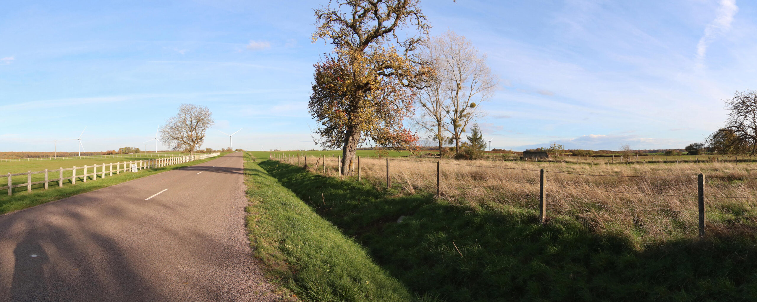 Au nord de Blumeray, à proximité des habitations, sur la RD60 